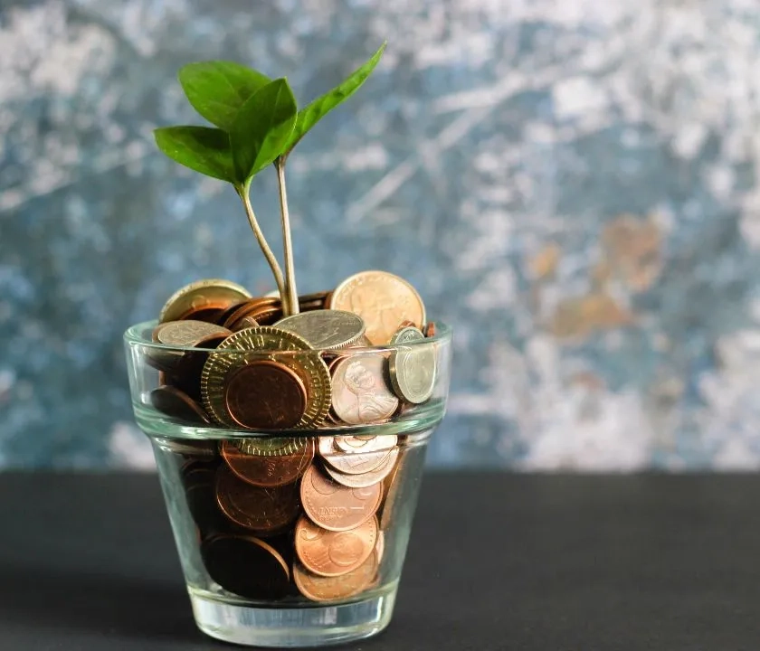 a glass full of coins. There is a small plant growing from the coins.
